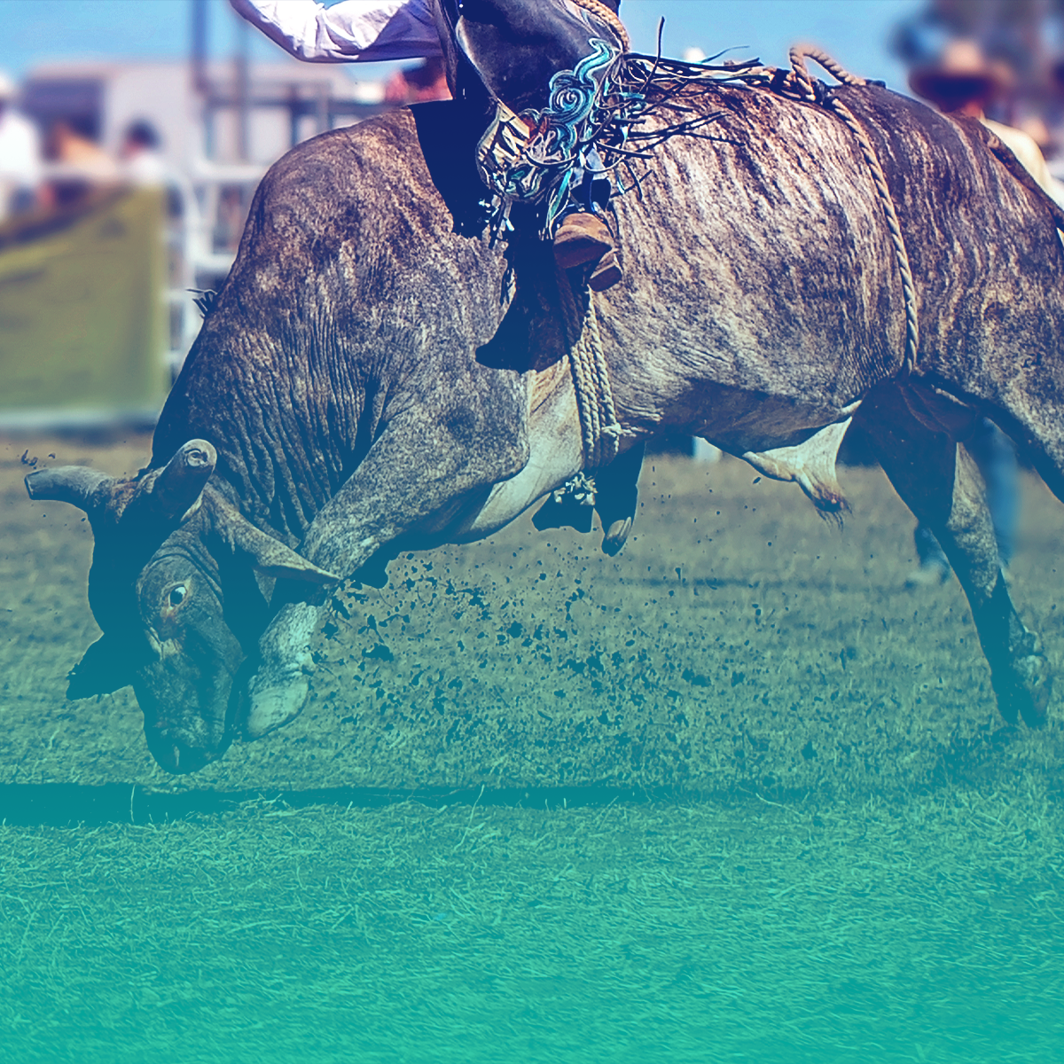 PBR - Unleash The Beast